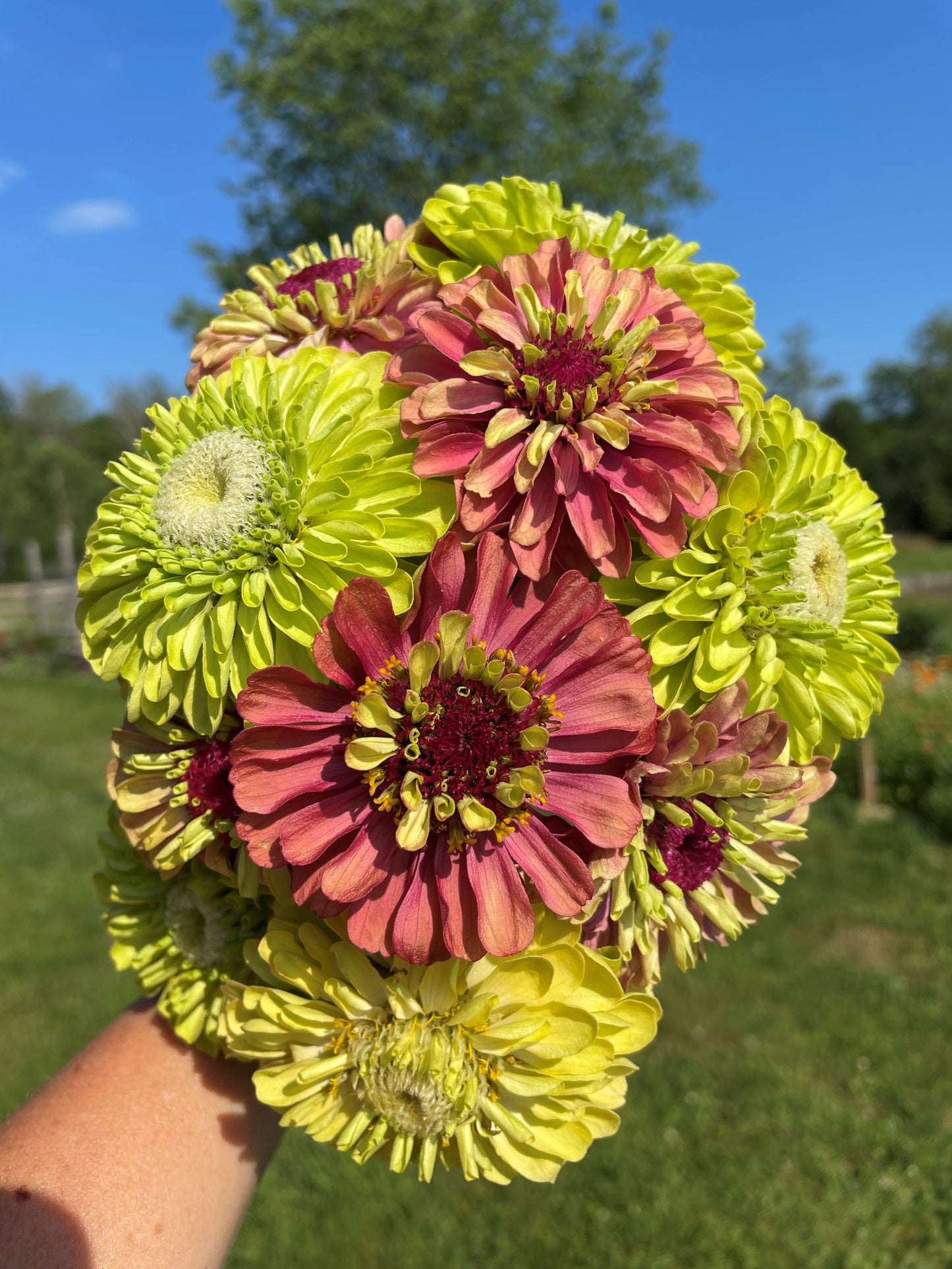 Fresh Cut flowers - Contact Us for Availability & Local Pickup / Delivery